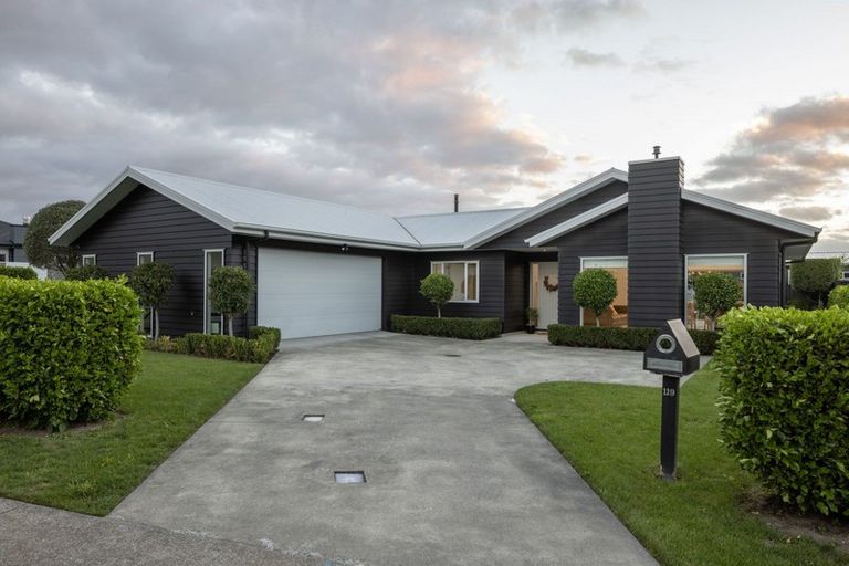 Photo of property in 119 Arataki Road, Havelock North, 4130