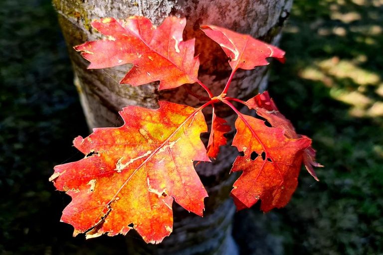 Photo of property in 53 Mclaughlins Road, Darfield, 7571