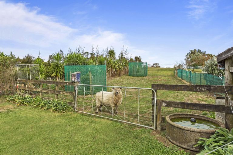 Photo of property in 87 Warren Road, Raglan, 3295