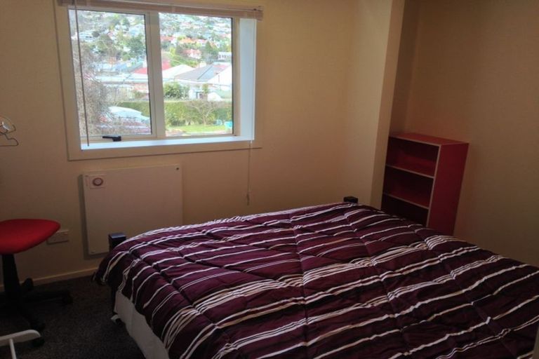 Photo of property in 59 Selwyn Street, North East Valley, Dunedin, 9010