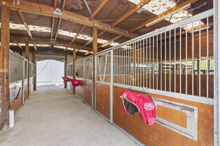 Photo of property in 127 Peake Road, Cambridge, 3493