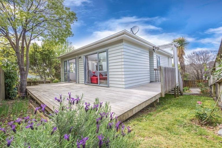 Photo of property in 1/31 Tetrarch Place, Totara Vale, Auckland, 0629