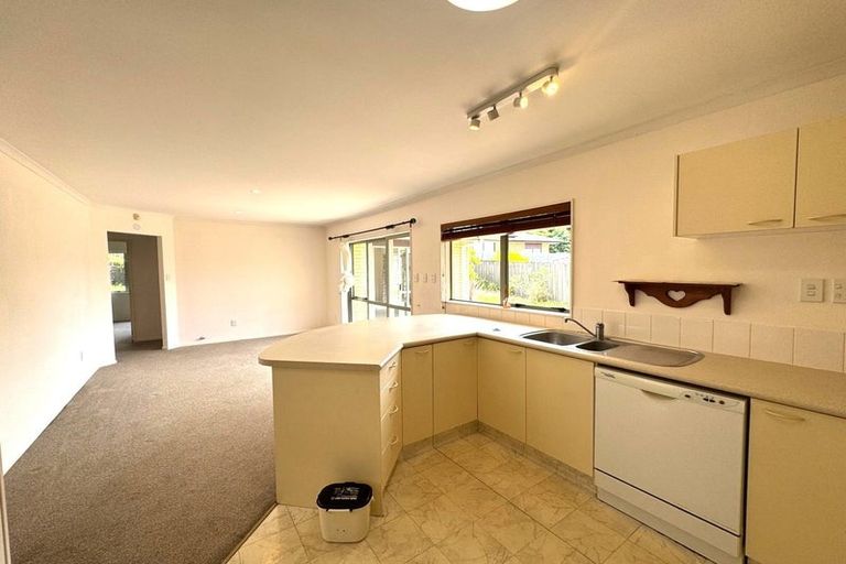 Photo of property in 114 Buscomb Avenue, Henderson, Auckland, 0610