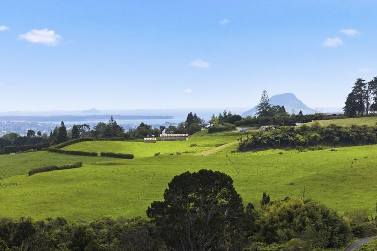 Photo of property in 857b Upper Ohauiti Road, Ohauiti, Tauranga, 3173