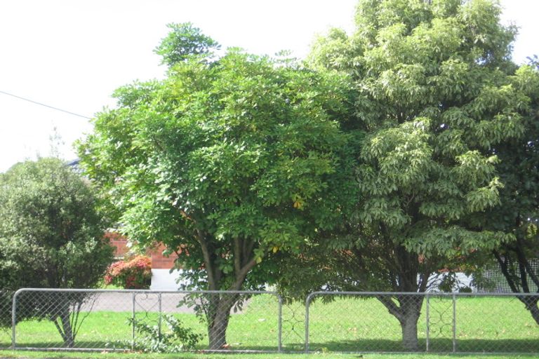 Photo of property in 129 Swanson Road, Henderson, Auckland, 0610