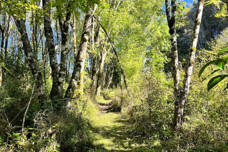 Photo of property in 754 Rutherglen Road, Marsden, Greymouth, 7872