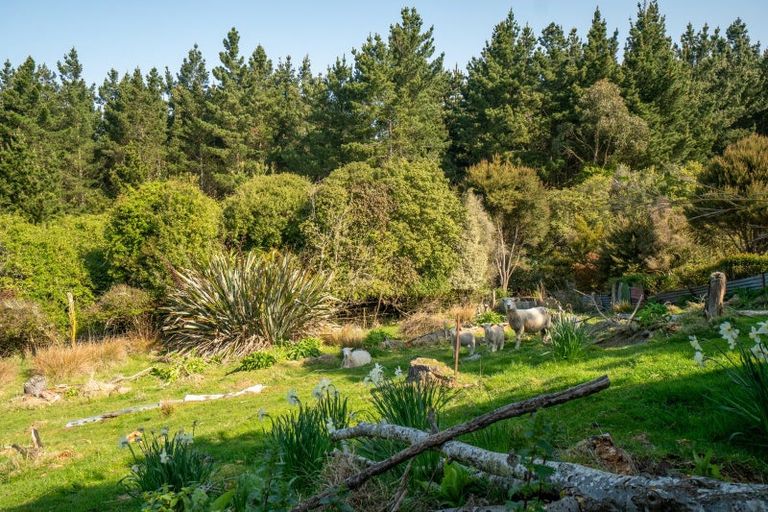 Photo of property in 5 Worcester Street, Hampden, 9410