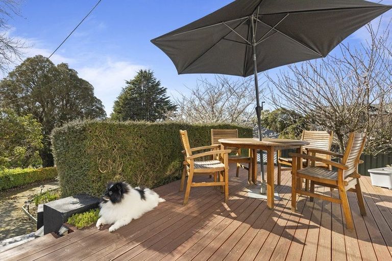 Photo of property in 3 Picardy Street, Maryhill, Dunedin, 9011