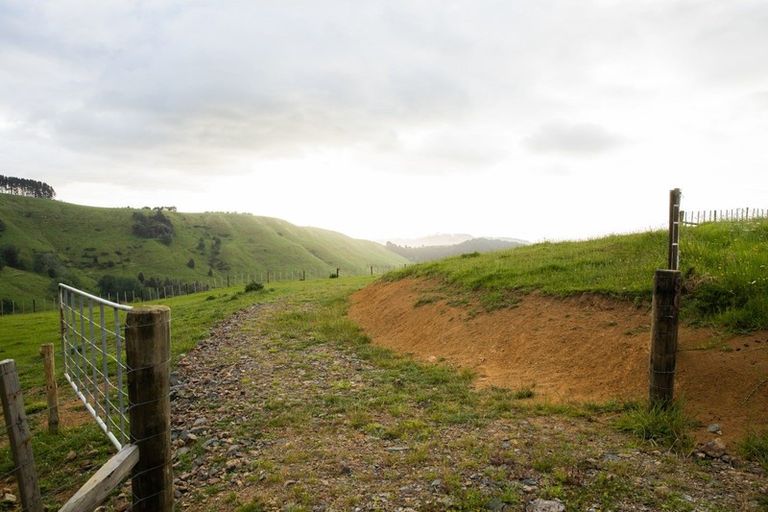 Photo of property in 307 Dill Road, Kaipara Flats, Warkworth, 0984