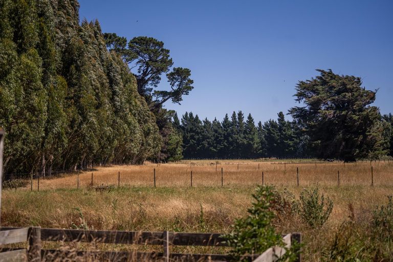 Photo of property in 247 Belvedere Road, Carterton, 5713