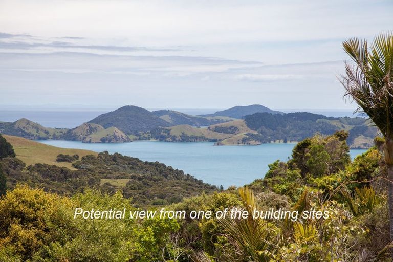 Photo of property in 1288 Manaia Road, Manaia, Coromandel, 3581