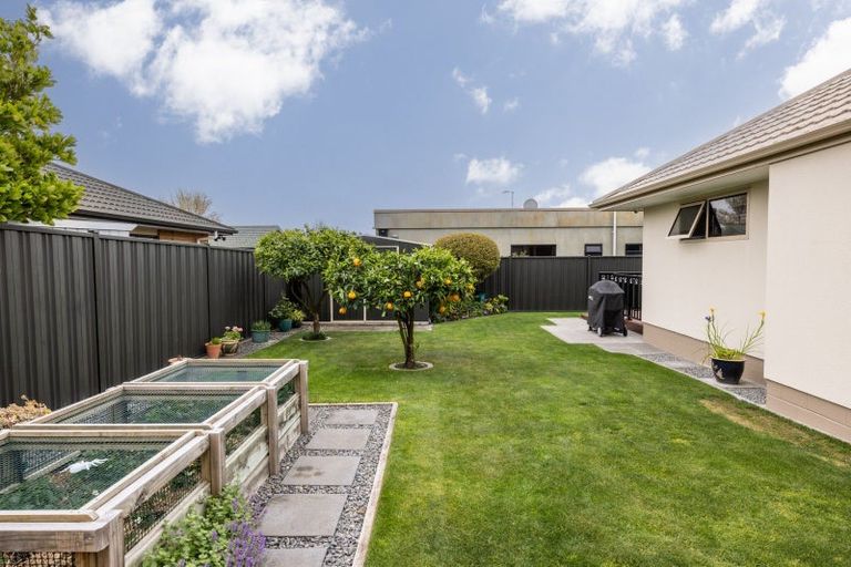Photo of property in 43 Palmbrook Avenue, Havelock North, 4130