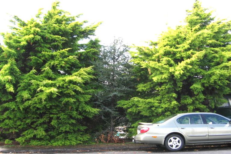 Photo of property in 110 Sunnyside Road, Sunnyvale, Auckland, 0612