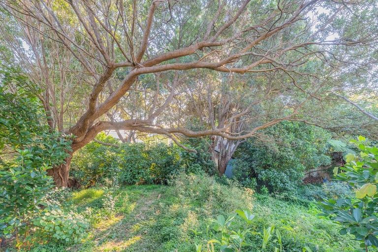 Photo of property in 45 Wellington Road, Paekakariki, 5034