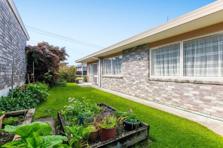 Photo of property in 71b Mansels Road, Greerton, Tauranga, 3112