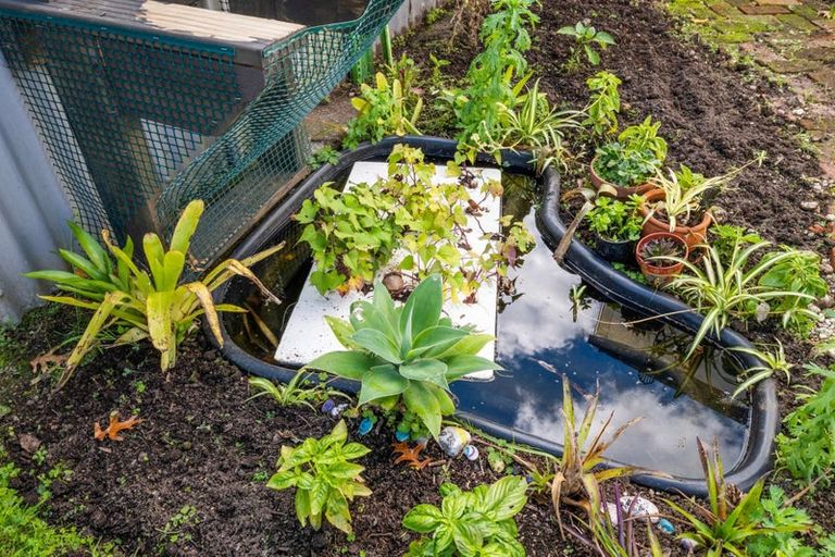 Photo of property in 17 Spier Street, Aramoho, Whanganui, 4500