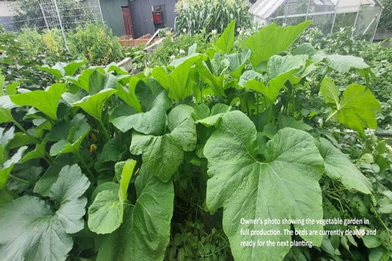 Photo of property in 27 Moore Avenue, Tawhero, Whanganui, 4501