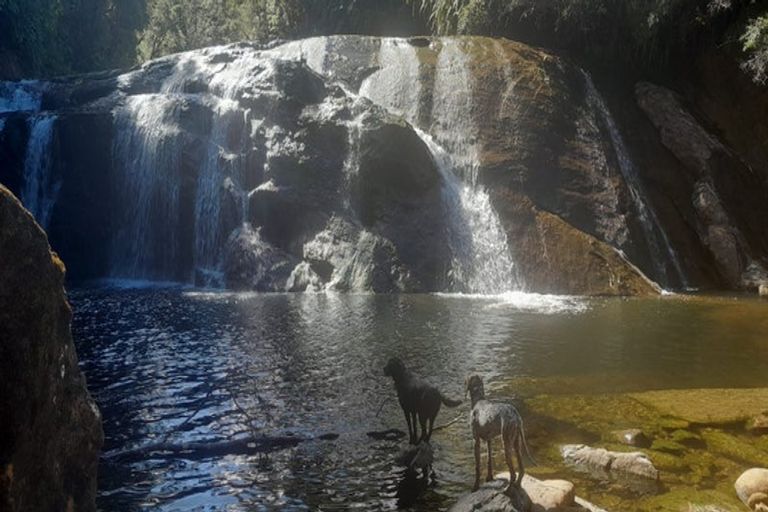 Photo of property in 42 Pitt Street, Runanga, 7803