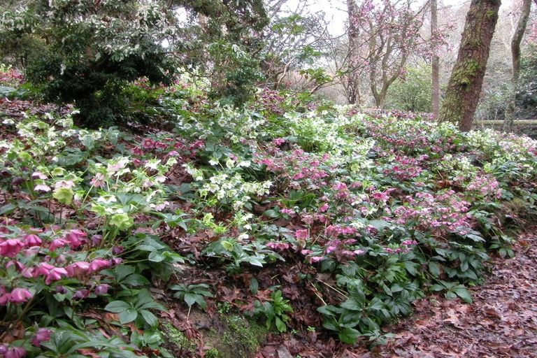 Photo of property in 38 Grammar Street, Kimbolton, 4777