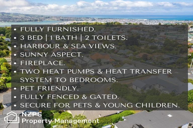 Photo of property in 10 Napier Street, Belleknowes, Dunedin, 9011