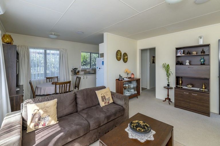 Photo of property in 15b Douglas Street, Levin, 5510