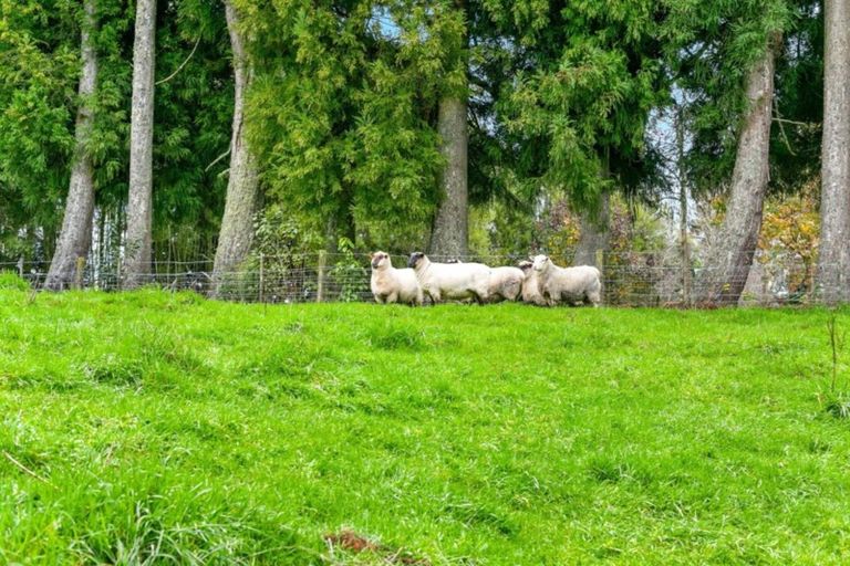 Photo of property in 98 Glue Pot Road, Oropi, Tauranga, 3173