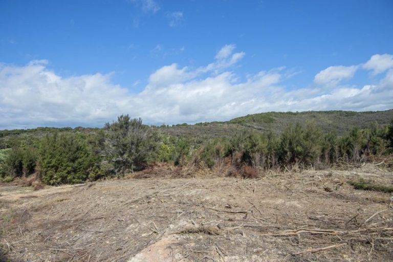 Photo of property in 1755 Whangarei Heads Road, Whangarei Heads, Whangarei, 0174