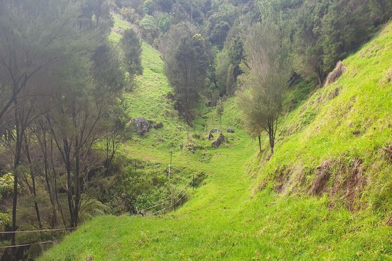 Photo of property in 1710 Kohumaru Road, Peria, Kaitaia, 0482