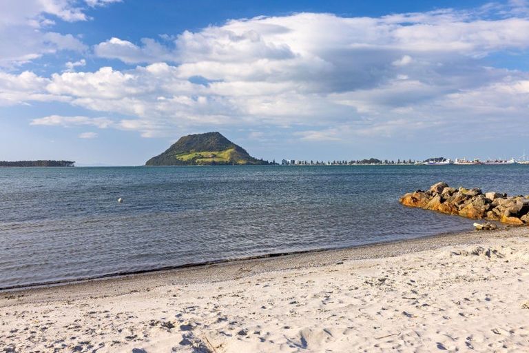 Photo of property in 81b Kulim Avenue, Otumoetai, Tauranga, 3110