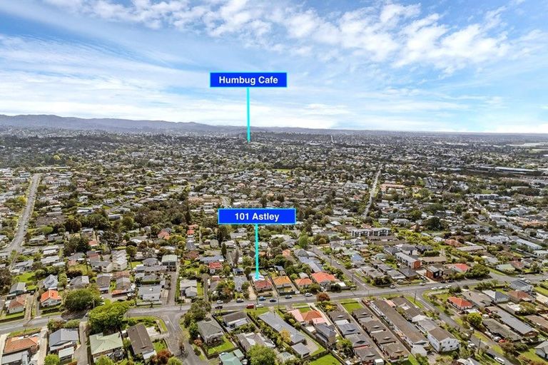 Photo of property in 101 Astley Avenue, New Lynn, Auckland, 0600