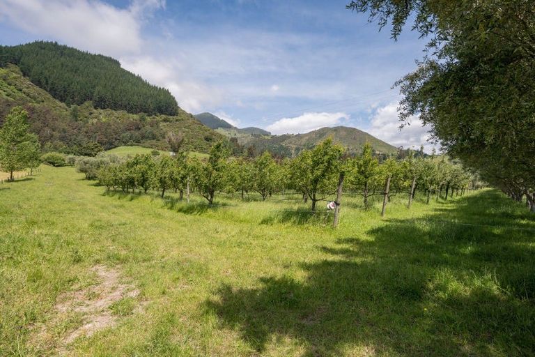 Photo of property in 145 Andrews Road, Wairoa Valley, Brightwater, 7091