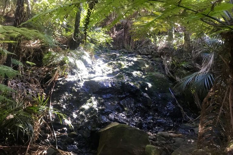 Photo of property in 455 Tuateawa Road, Tuateawa, Coromandel, 3583