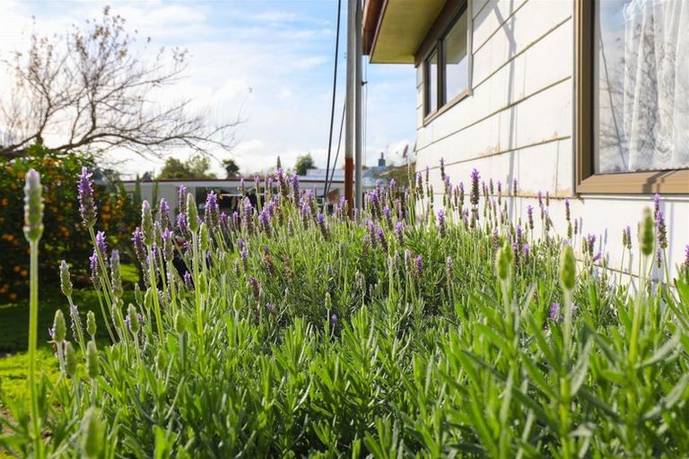 Photo of property in 17 Fairmont Street, Ngaruawahia, 3720