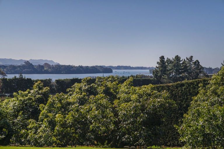 Photo of property in 210 Tuapiro Road, Tahawai, Katikati, 3170