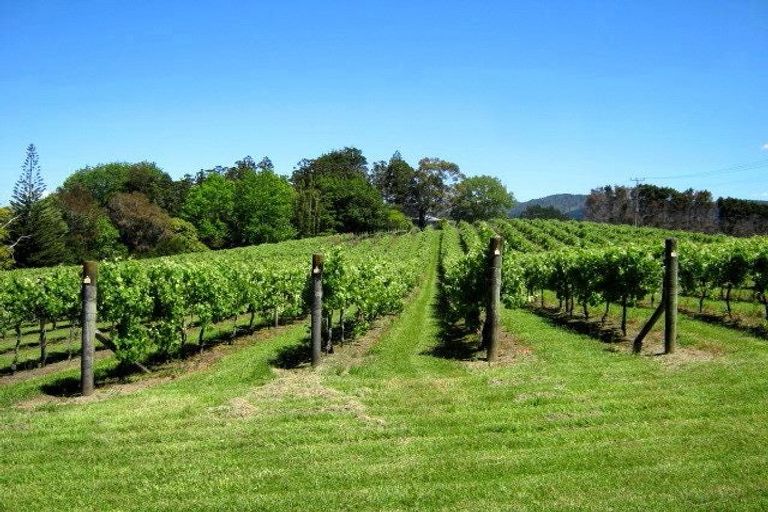 Photo of property in 38 Monarch-downs Way, Warkworth, 0982