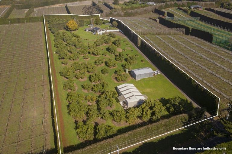 Photo of property in 210 Tuapiro Road, Tahawai, Katikati, 3170