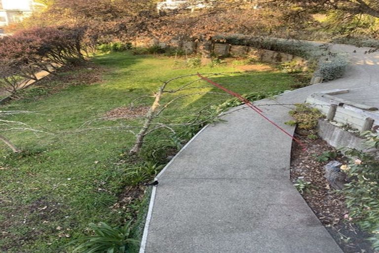 Photo of property in 116 Murphy Street, Toi Toi, Nelson, 7010