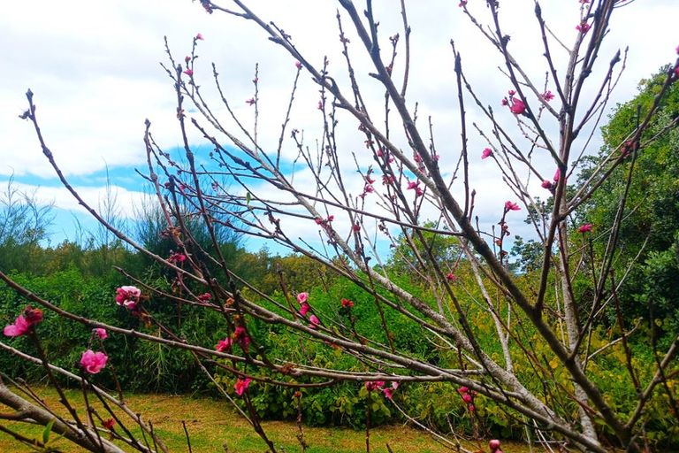 Photo of property in 191 Spains Road, Awanui, 0486