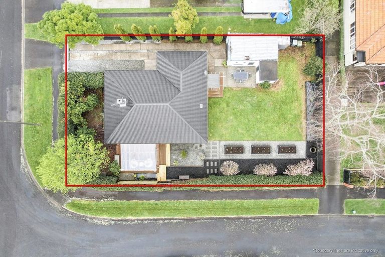 Photo of property in 49 Graham Street, Hamilton East, Hamilton, 3216