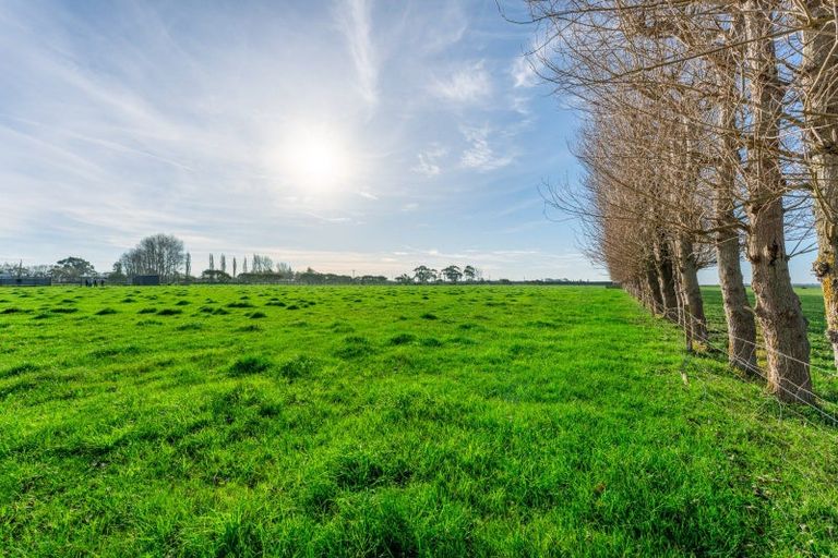 Photo of property in 31 Seaforth Settlement Road, Seadown, Timaru, 7973
