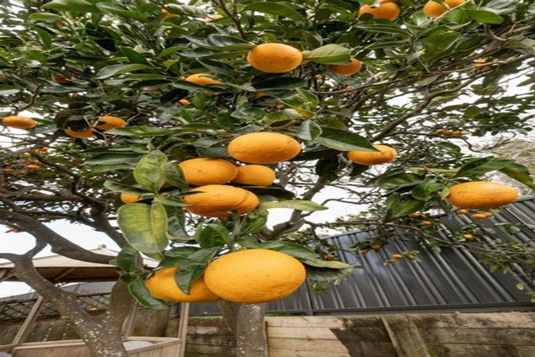 Photo of property in 5 Vivian Drive, Omokoroa, 3114