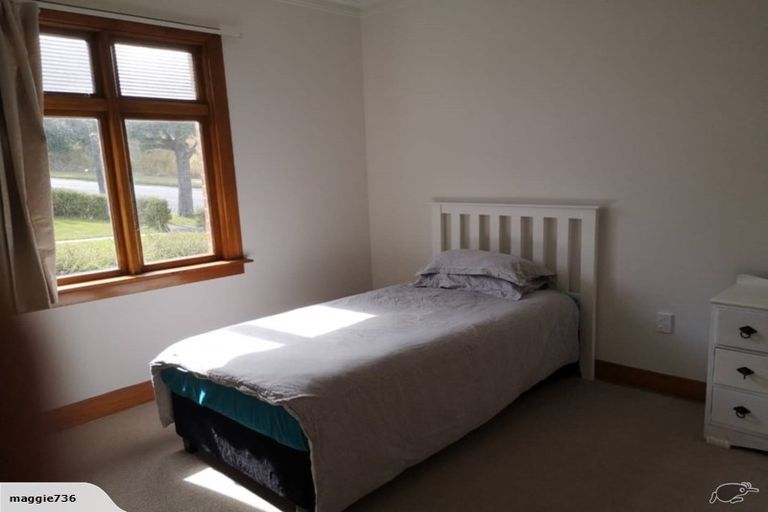 Photo of property in 115 Chapman Street, Wakari, Dunedin, 9010