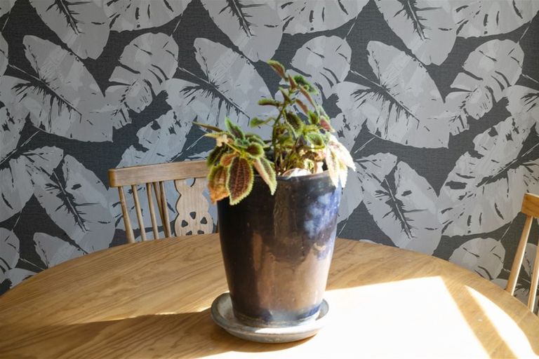 Photo of property in 45 Carroll Street, Waharoa, 3401