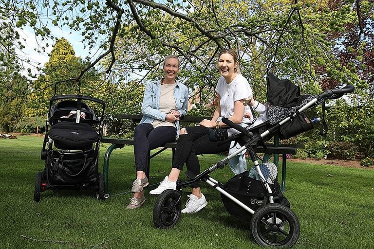 Photo of property in 1 Kowhai Place, East Gore, 9710