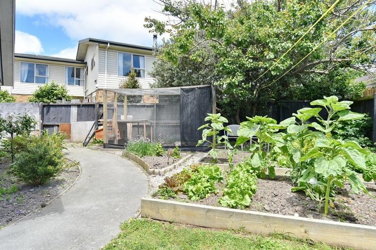 Photo of property in 12 Mayo Place, Belfast, Christchurch, 8051