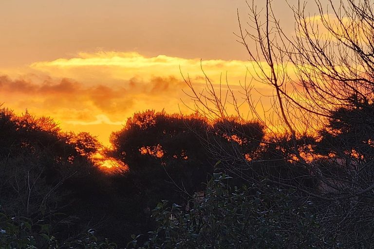 Photo of property in 232 Amreins Road, Taupaki, 0782