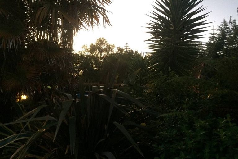 Photo of property in 243 Woodside Road, Matangi, Hamilton, 3284