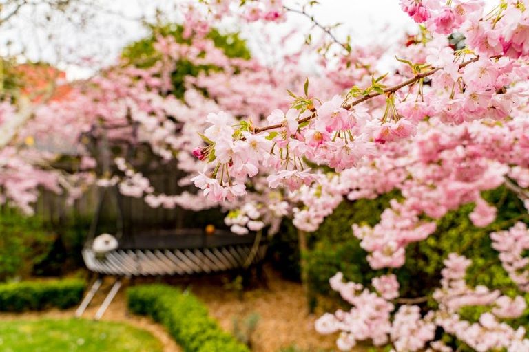 Photo of property in 20 Carnarvon Street, Belleknowes, Dunedin, 9011