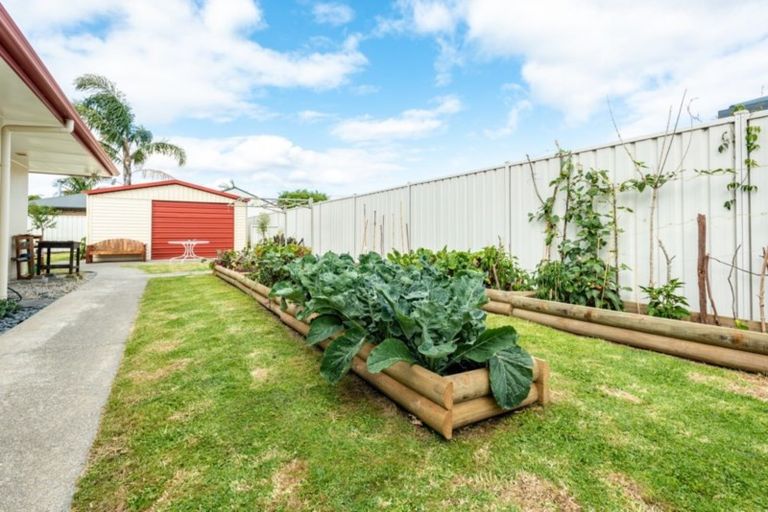 Photo of property in 19 Margaret Place, Lytton West, Gisborne, 4010