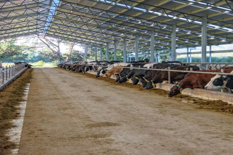 Photo of property in 939 Hudsons Road, Motukarara, Tai Tapu, 7674